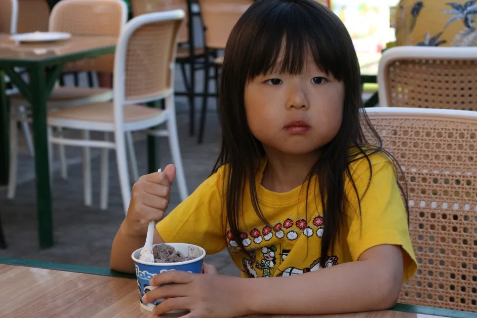 %EA%BE%B8%EB%AF%B8%EA%B8%B0IMG_7598.JPG?type=w966