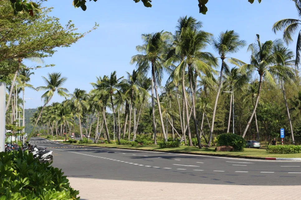 %EA%BE%B8%EB%AF%B8%EA%B8%B0IMG_7442.JPG?type=w966