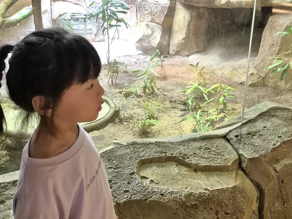 %EA%BE%B8%EB%AF%B8%EA%B8%B0%EA%BE%B8%EB%AF%B8%EA%B8%B0KakaoTalk_20260116_143009119_07.jpg?type=w966