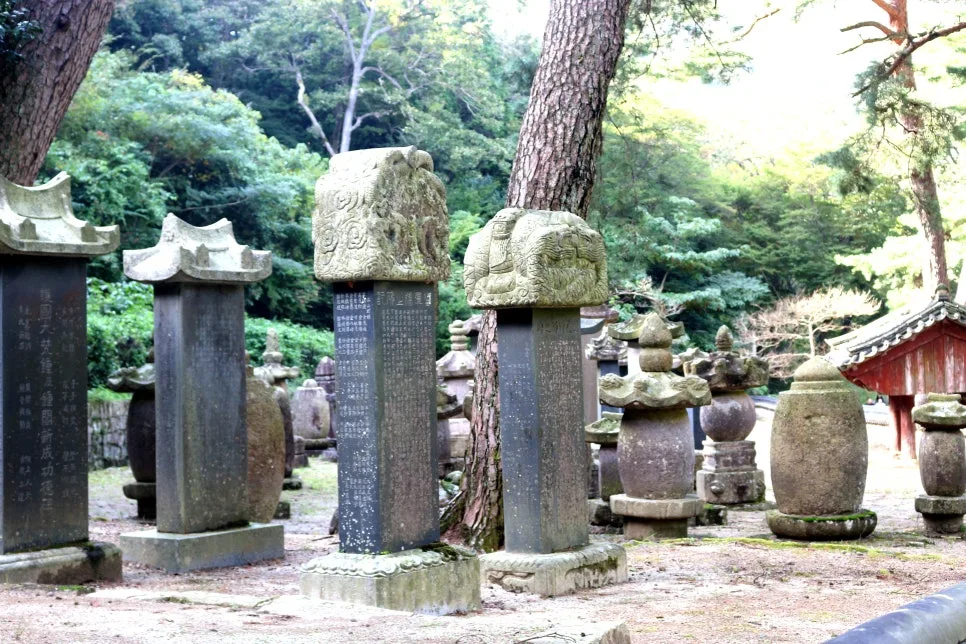 %EA%BE%B8%EB%AF%B8%EA%B8%B0IMG_6686.JPG?type=w966