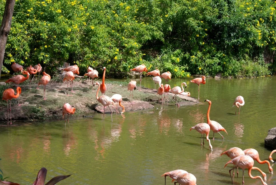 %EA%BE%B8%EB%AF%B8%EA%B8%B0SAM_0868.JPG?type=w966