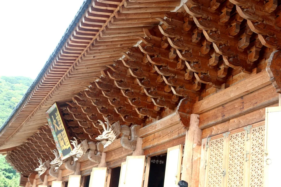 %EA%BE%B8%EB%AF%B8%EA%B8%B0IMG_6717.JPG?type=w966