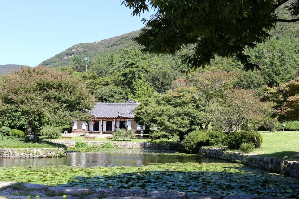 %EA%BE%B8%EB%AF%B8%EA%B8%B0IMG_7072.JPG?type=w966