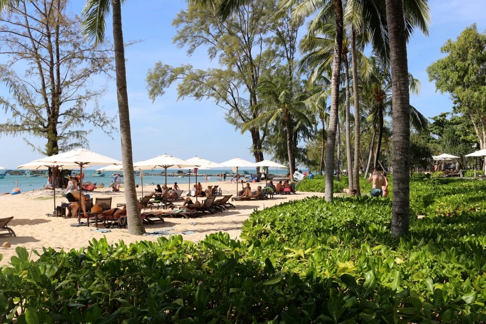 %EA%BE%B8%EB%AF%B8%EA%B8%B0IMG_7326.JPG?type=w966