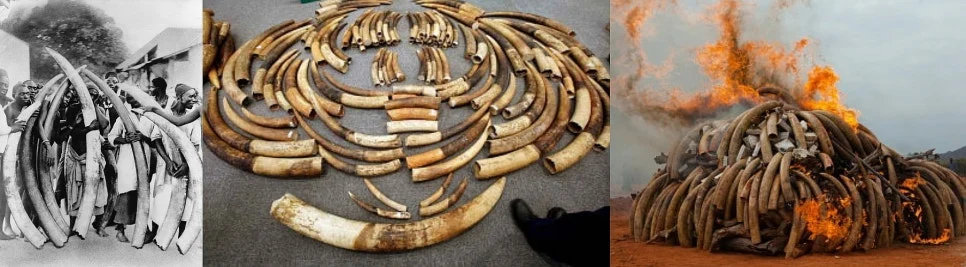 %EA%BE%B8%EB%AF%B8%EA%B8%B0%EA%BE%B8%EB%AF%B8%EA%B8%B0%EB%8B%A4%EC%9A%B4%EB%A1%9C%EB%93%9C_(5)-side.jpg?type=w966