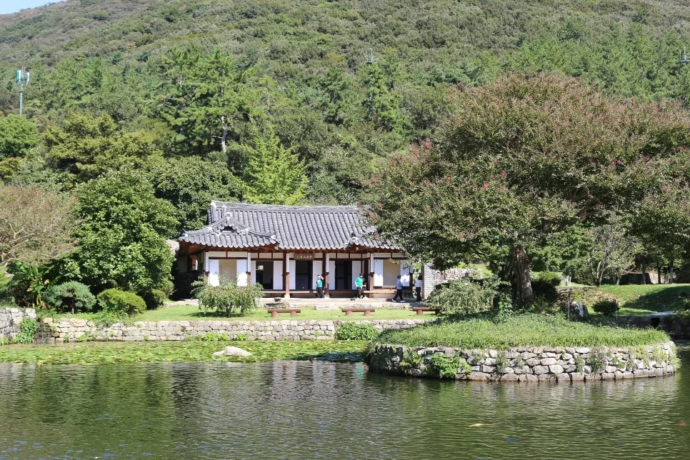 %EA%BE%B8%EB%AF%B8%EA%B8%B0IMG_7074.JPG?type=w966