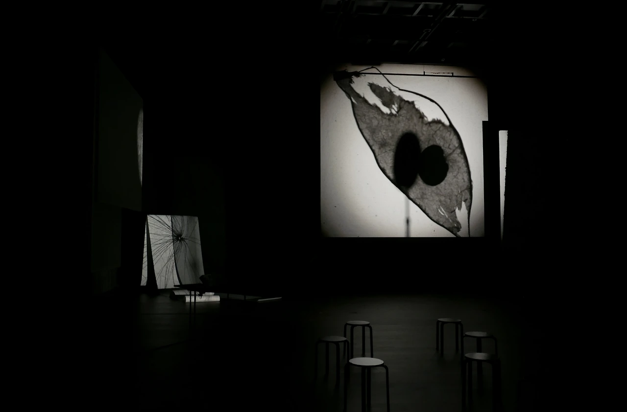 그림자 숲_무리달 테의 궤적_임고은.JPG