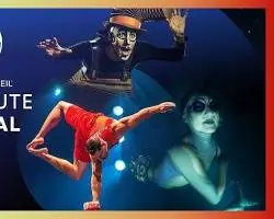 images?q=tbn:ANd9GcT2iWQKK9pIEBc9jMNZ9MXNl-B93XMMTx-3m-pQ4uzSjjSrKFstOBhA-Kn66ucB