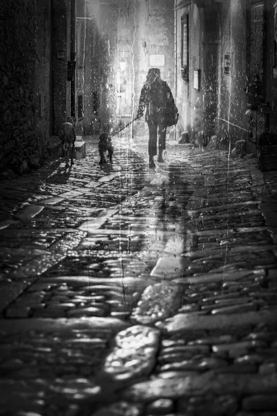 다운로드 (1).jfif