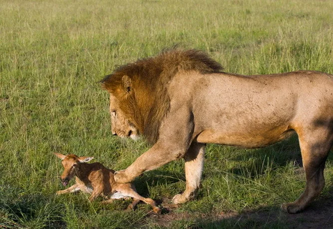 다운로드 (1).jfif