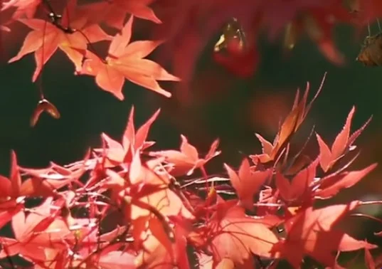 다운로드 (1).jpeg