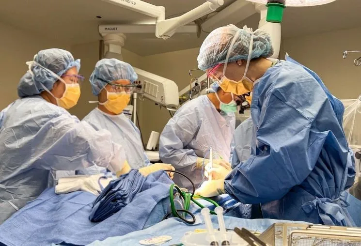 다운로드 (2).jfif