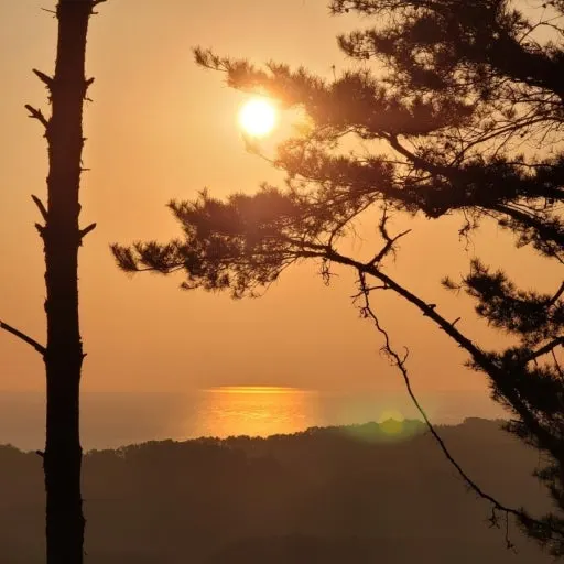 다운로드 (1).jpeg