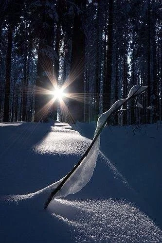 다운로드 (1).jfif