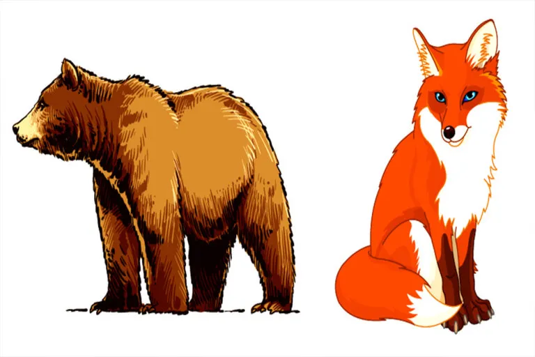 다운로드 (1).jpeg