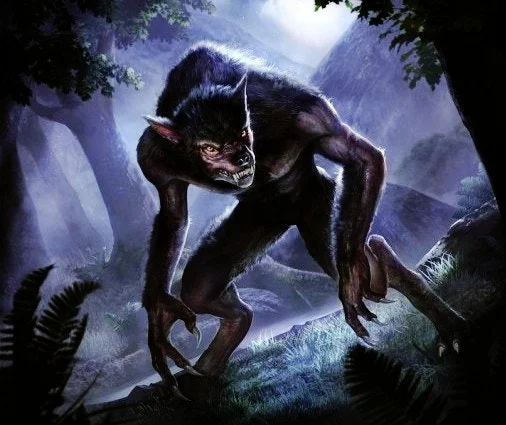 다운로드 (2).jfif