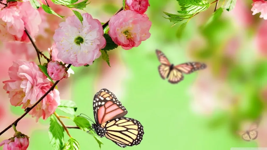 다운로드 (2).jfif