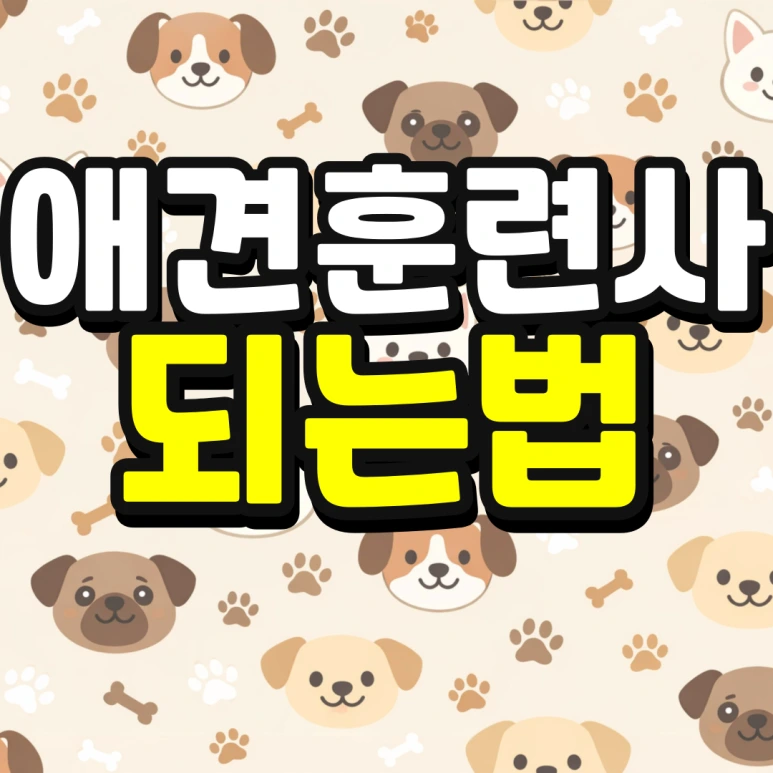 %EC%9D%B8%EC%84%9C%EC%9A%B8-%ED%8E%B8%EC%9E%85-%EC%A1%B0%EA%B1%B4-%EA%B2%BD%EC%9F%81%EB%A5%A0-%EB%82%AE%EC%B6%B0%EC%84%9C-%EB%8C%80%ED%95%99%EA%B0%80%EA%B8%B0-001.png?type=w773