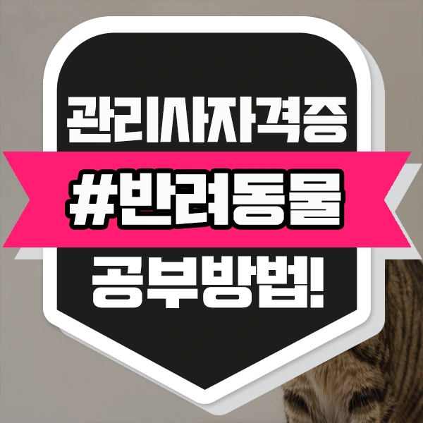 %EB%A9%94%EC%9D%B8.png?type=w966