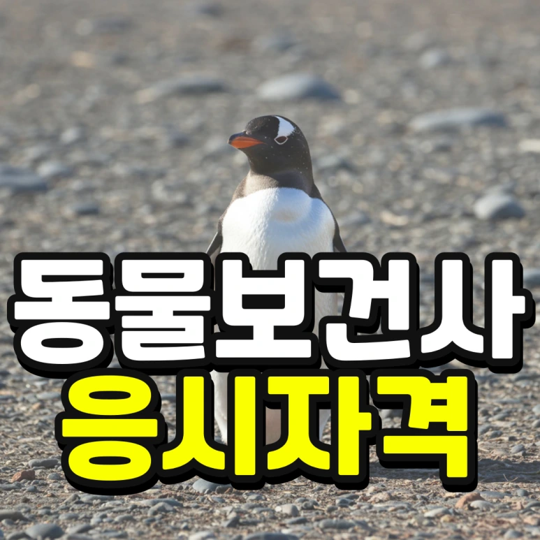 %EC%9D%B8%EC%84%9C%EC%9A%B8-%ED%8E%B8%EC%9E%85-%EC%A1%B0%EA%B1%B4-%EA%B2%BD%EC%9F%81%EB%A5%A0-%EB%82%AE%EC%B6%B0%EC%84%9C-%EB%8C%80%ED%95%99%EA%B0%80%EA%B8%B0-001.png?type=w773