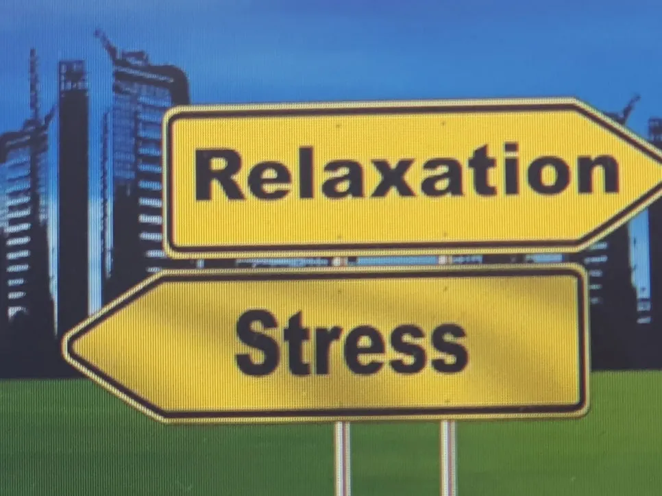 KakaoTalk_20230317_154748512_07.jpg?type=w966