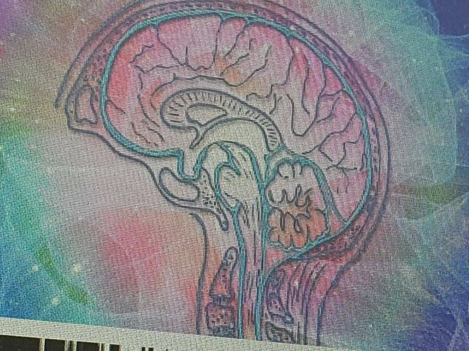 KakaoTalk_20230317_154748512_08.jpg?type=w966