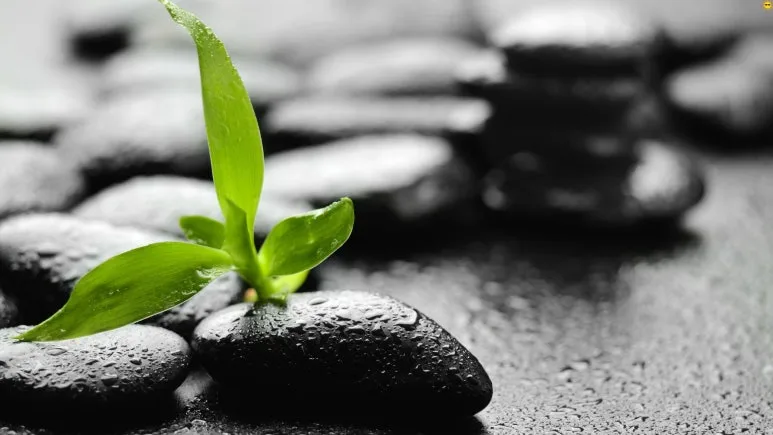 %EC%A0%9C%EB%AA%A9_%EC%97%86%EB%8A%94_%EB%94%94%EC%9E%90%EC%9D%B8_(1).jpg?type=w773