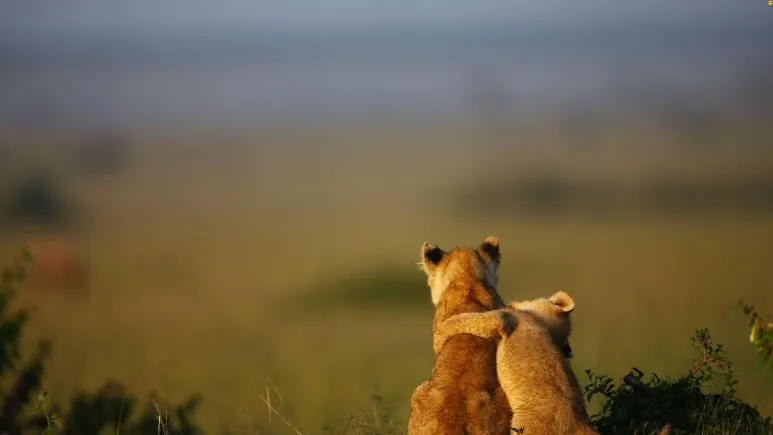 %EC%A0%9C%EB%AA%A9_%EC%97%86%EB%8A%94_%EB%94%94%EC%9E%90%EC%9D%B8_(2).jpg?type=w773