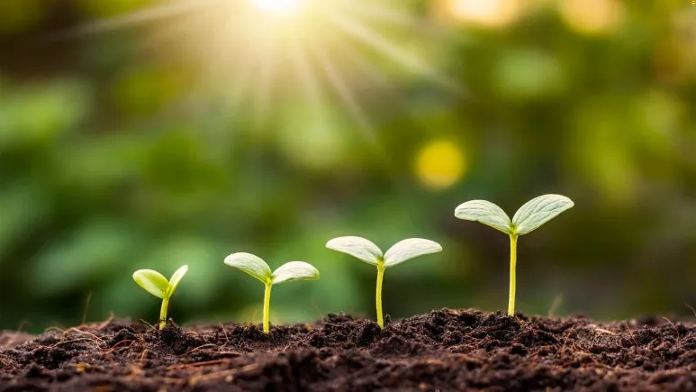 %EC%A0%9C%EB%AA%A9_%EC%97%86%EB%8A%94_%EB%94%94%EC%9E%90%EC%9D%B8_(1).jpg?type=w773