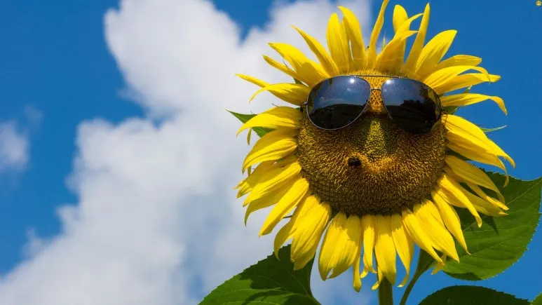 %EC%A0%9C%EB%AA%A9_%EC%97%86%EB%8A%94_%EB%94%94%EC%9E%90%EC%9D%B8_(5).jpg?type=w773