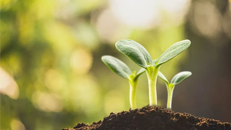 %EC%A0%9C%EB%AA%A9_%EC%97%86%EB%8A%94_%EB%94%94%EC%9E%90%EC%9D%B8_(11).jpg?type=w773