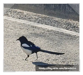 SE-20f3bb56-d8a5-446e-bfea-726d5d1b5082.jpg?type=w580