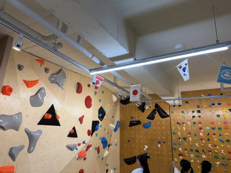 IMG_2366.jpeg?type=w773