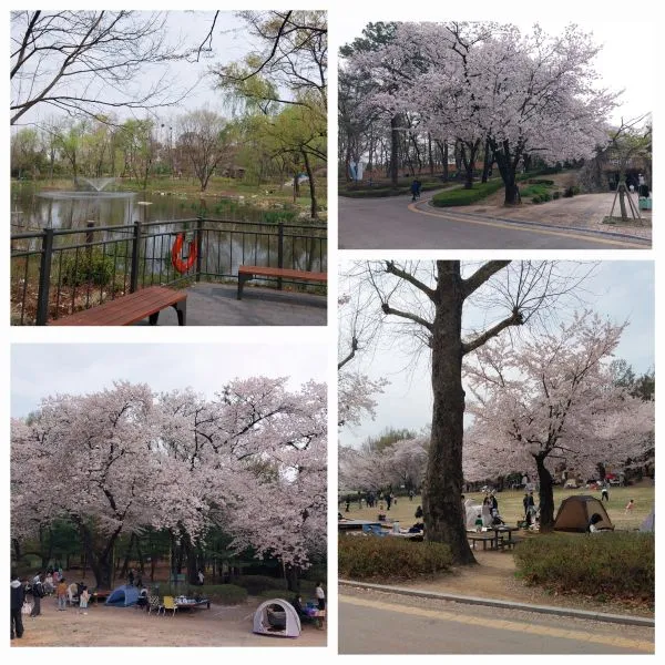 %EB%8C%80%EA%B3%B5%EC%9B%90.jpg?type=w773