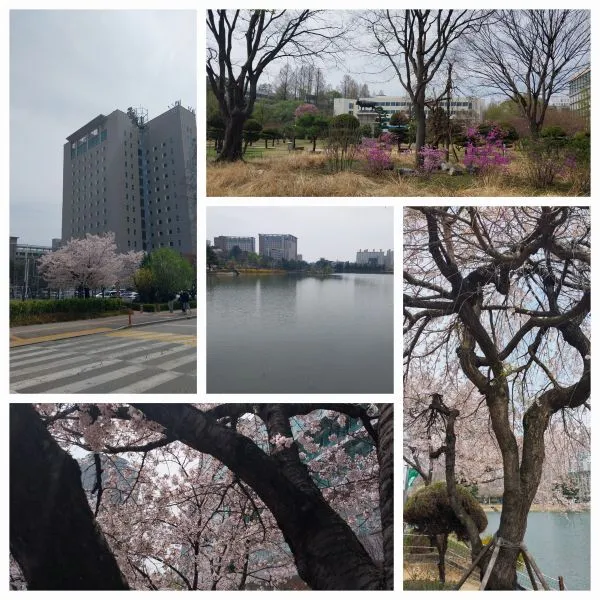 %EA%B1%B4%EA%B5%AD.jpg?type=w773