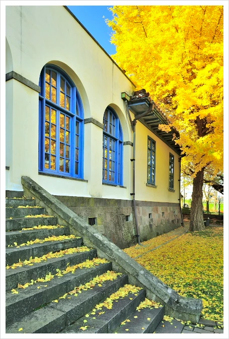 SE-dcca937c-e6b3-4244-a085-4e03406045b5.jpg?type=w1