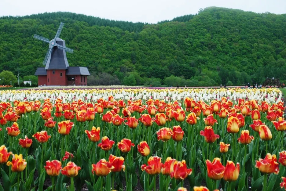 11295_3_l.jpg?type=w1