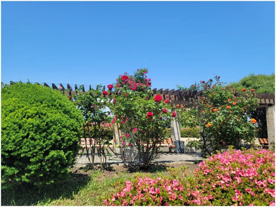 SE-a6960718-a3bc-46c8-b769-787513cee937.jpg?type=w1