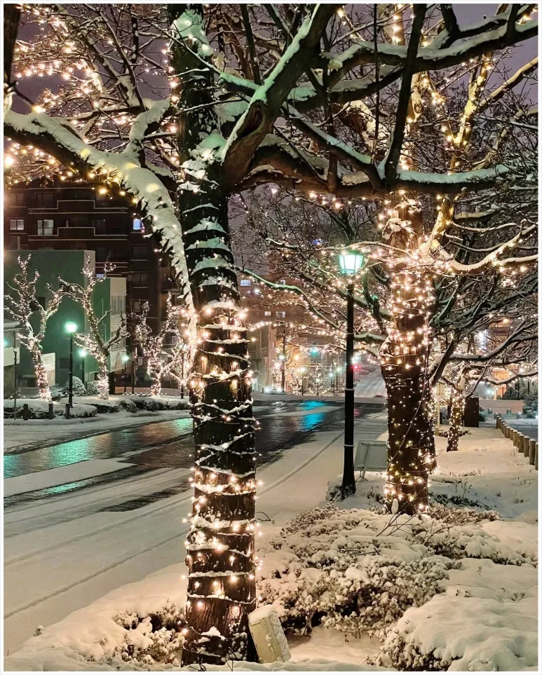 SE-72f0f6d9-b04e-4e23-8d0e-2b664a646492.jpg?type=w773