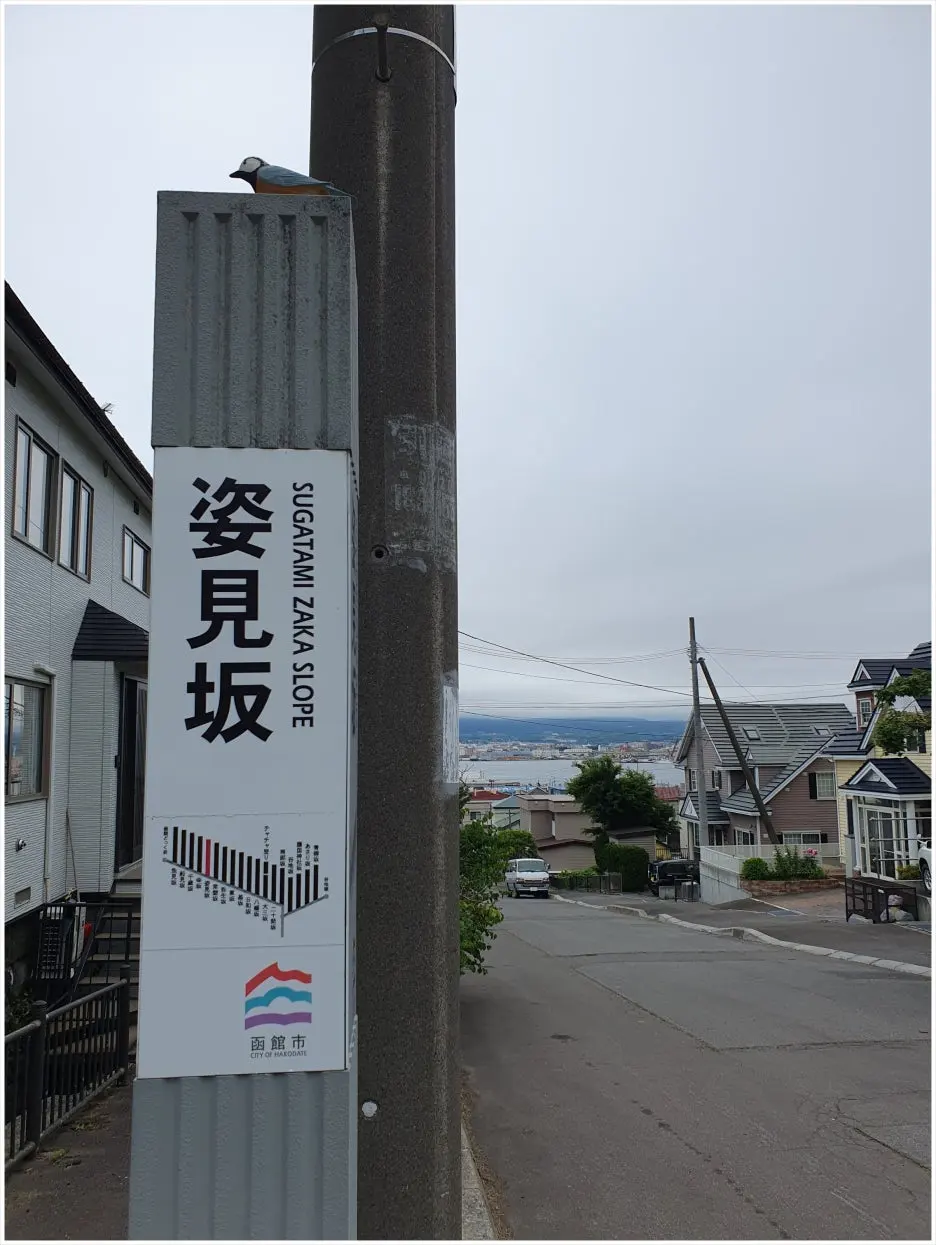 SE-176f2d0a-d658-4f54-bc62-98874d37138e.jpg?type=w1