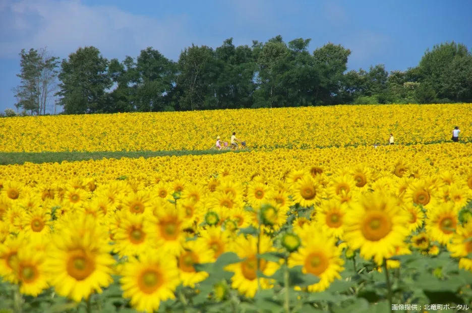 112891257_1465417090324520_6281739339879170211_n.jpg?type=w1