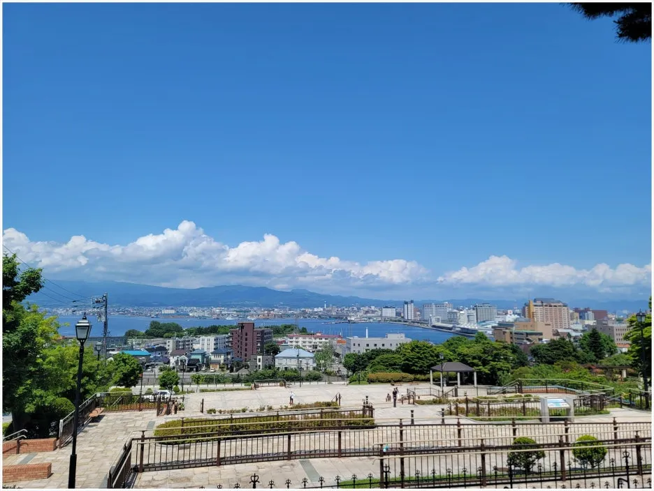 SE-37cc9852-f384-4d17-a000-5a1d532a981e.jpg?type=w1