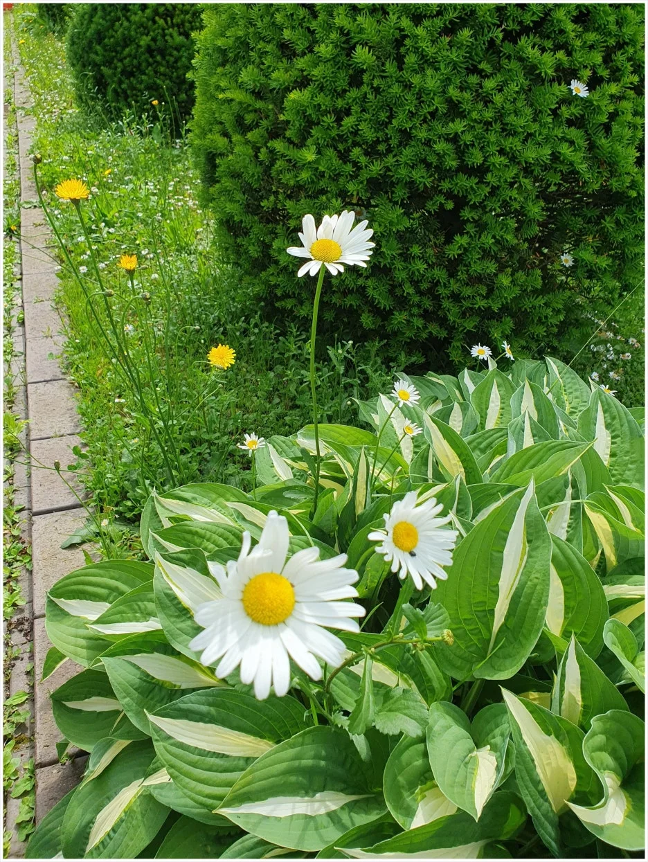 SE-d6453081-39fb-4f7f-a91c-b5dbaffa1225.jpg?type=w1