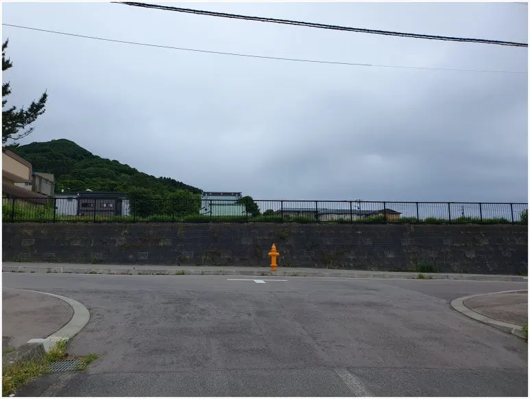 SE-14824280-e664-4c6f-933c-79d9e5a7abbe.jpg?type=w773