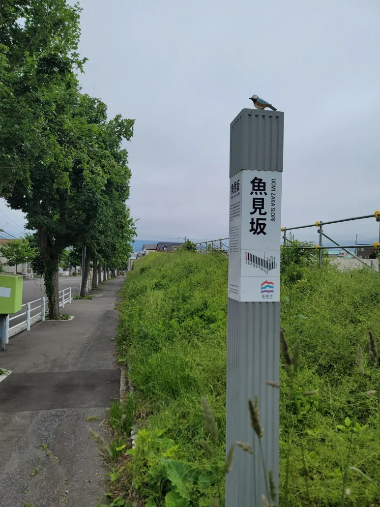 20230615_105043.jpg?type=w773