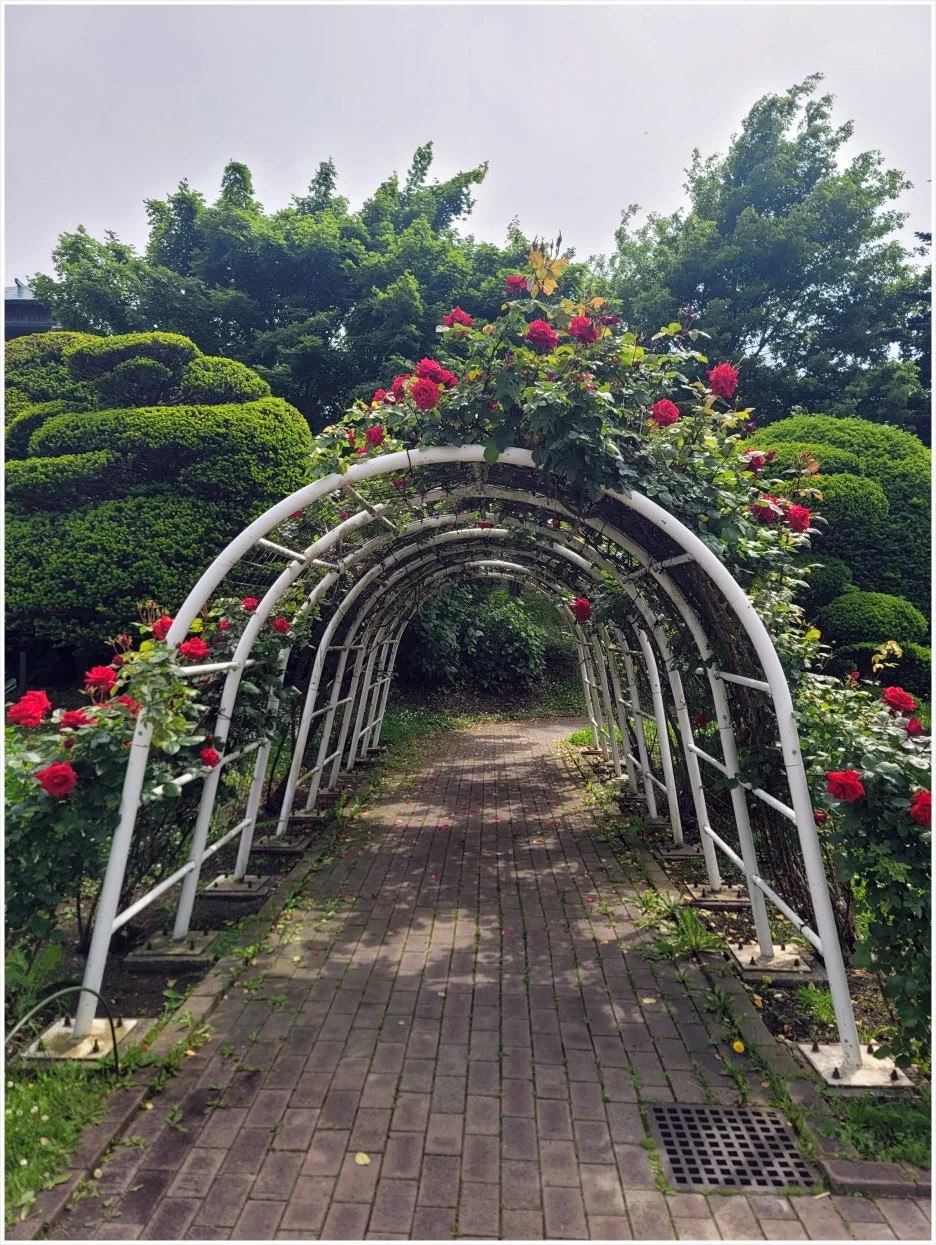 SE-a55e0ccb-727e-4fd9-87ed-d06ae3e7a989.jpg?type=w1