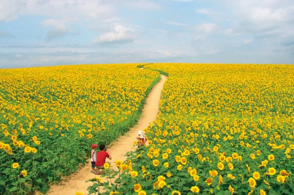 12876_1_l.jpg?type=w1