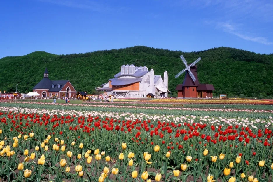 11295_5_l.jpg?type=w1