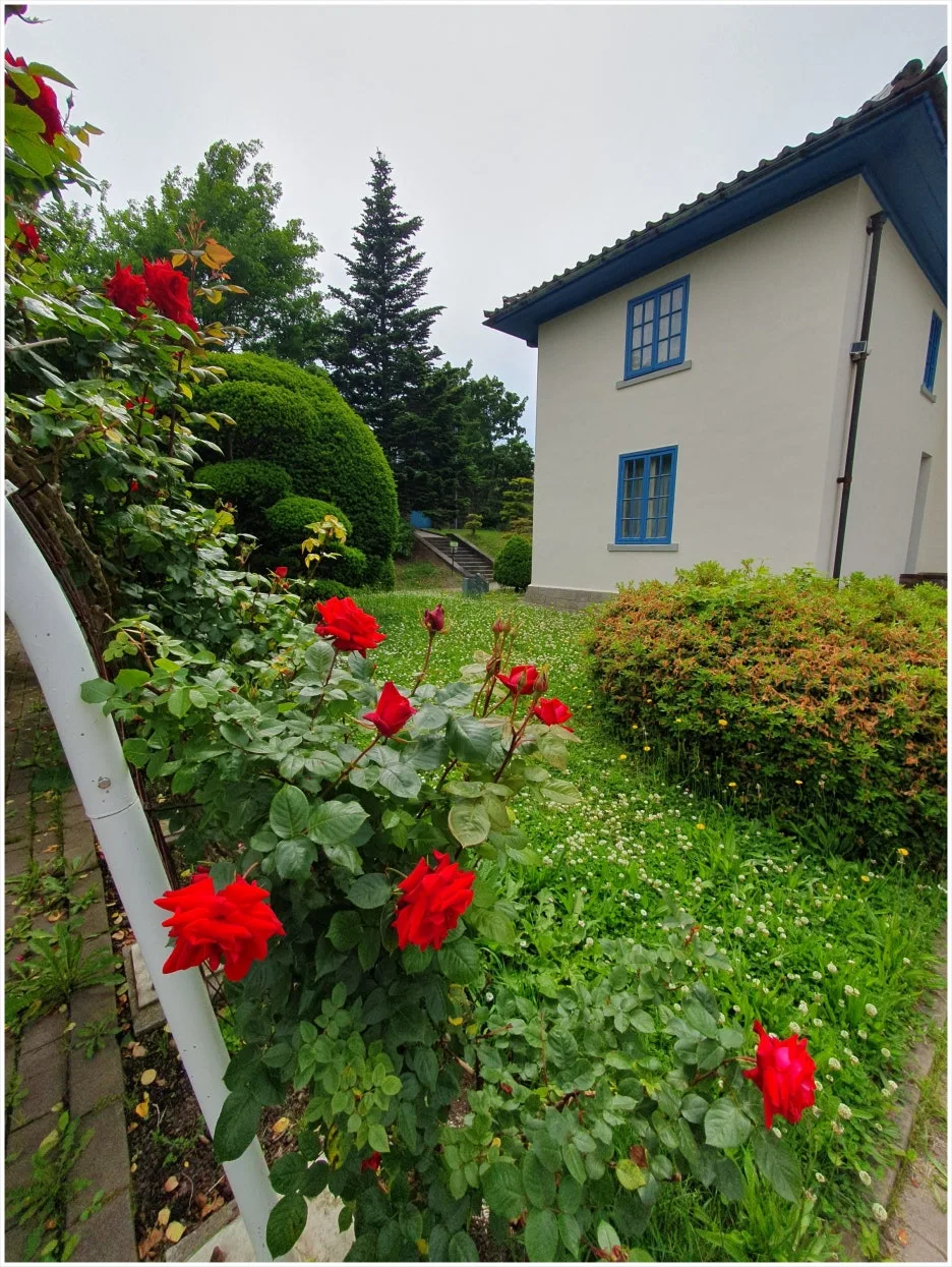 SE-6e941bb0-2ad7-4b23-bf15-22b43cbb806b.jpg?type=w1