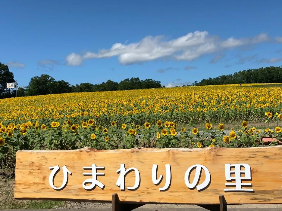 110203874_1465416990324530_6449247020615121848_n.jpg?type=w1